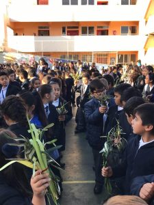 Colegio Divina Pastora - Antofagasta